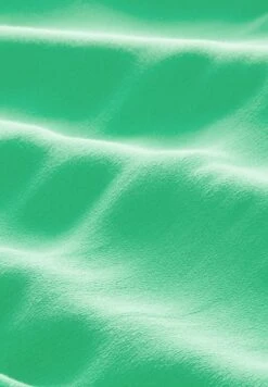 TOM TAILOR Denim Mit Rückenschlitz - Blouse - Strong Green -Tom Tailor e7f7b745aa244a5991fd08ce75593658